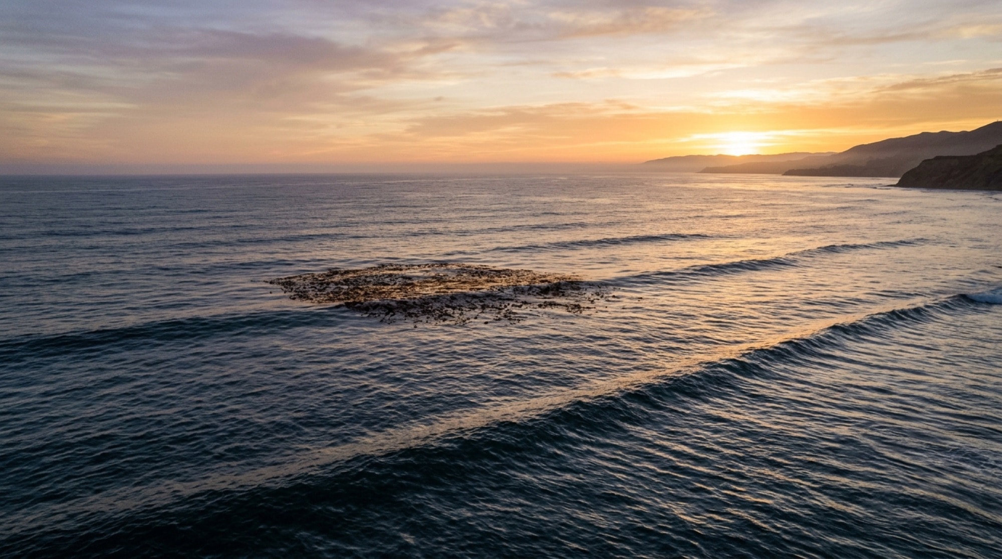 Pacific swell breaking over an offshore kelp line at first light off the Southern California coast