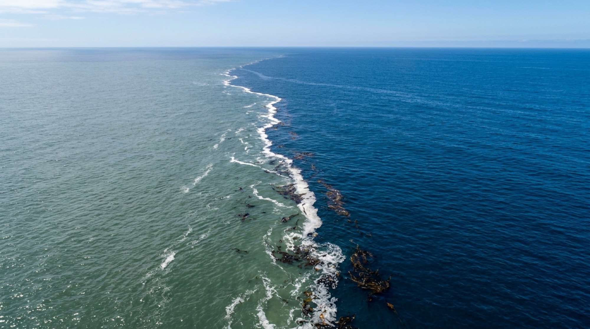 A visible temperature break where cool green water meets warm blue water offshore